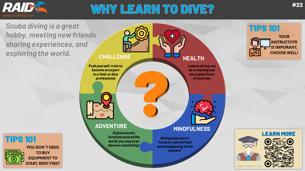 Why learn to dive?
