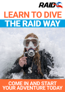 The RAID Way