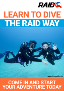 The RAID Way