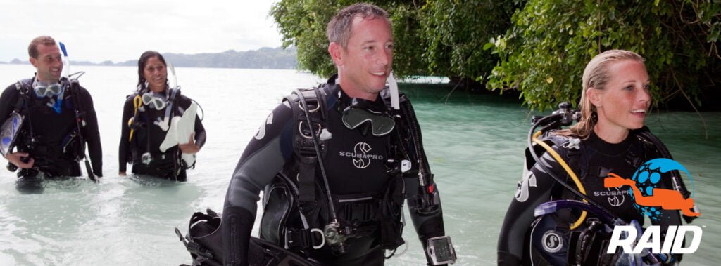 RAID,SMBI,Banners,Badges,RAID Brand Standards