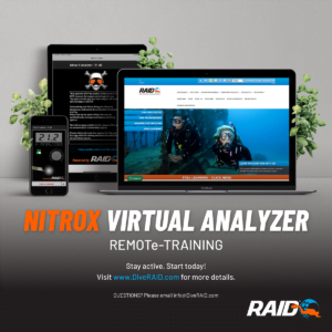 RAID,SMBI,Flowchart,Posters,Stickers