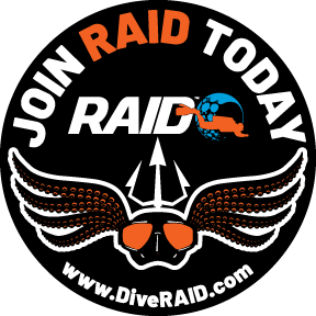 RAID Sticker